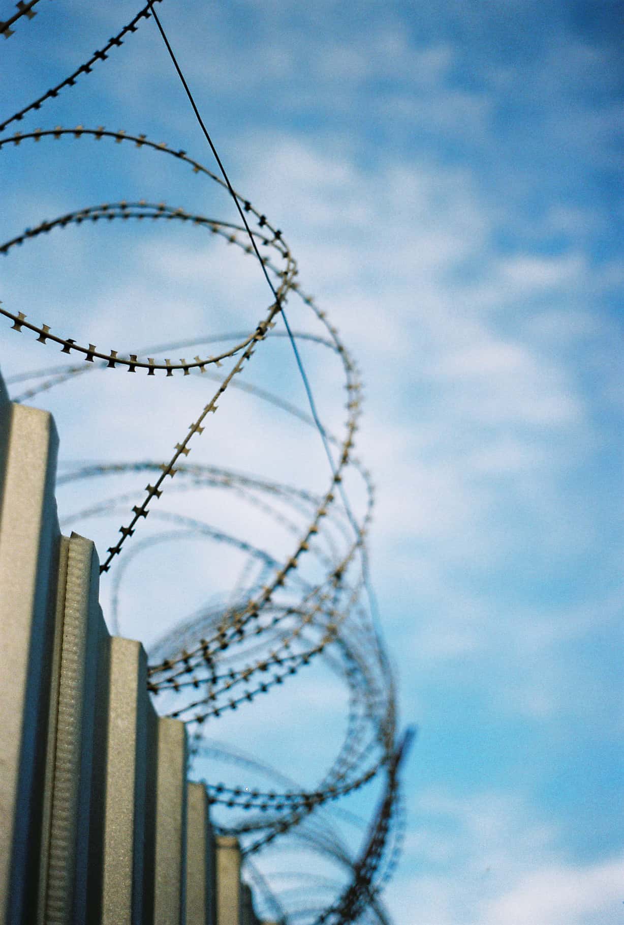 barbed wire in fatih